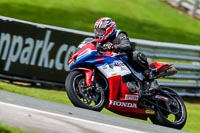 PJ-Motorsport-2019;anglesey;brands-hatch;cadwell-park;croft;donington-park;enduro-digital-images;event-digital-images;eventdigitalimages;mallory;no-limits;oulton-park;peter-wileman-photography;racing-digital-images;silverstone;snetterton;trackday-digital-images;trackday-photos;vmcc-banbury-run;welsh-2-day-enduro